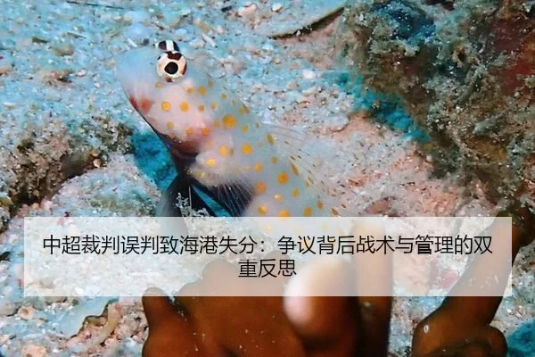 中超裁判误判致海港失分：争议背后战术与管理的双重反思